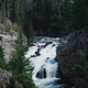 Illustration for article titled Photodump: Yellowstone National Park